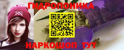 СК Шебекино