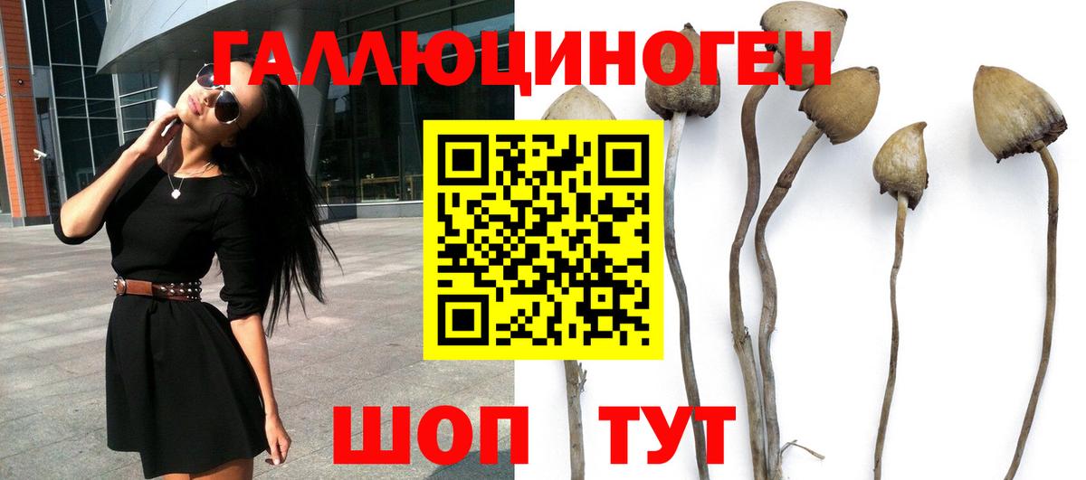 Дзержинск  Псилоцибиновые грибы Cubensis  Вход с VPN  Галлюциногенные грибы MAGIC MUSHROOMS 
